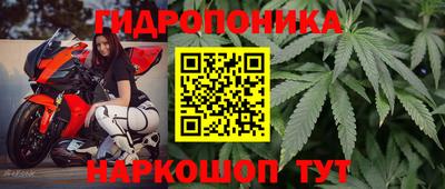 ГАЛЛЮЦИНОГЕННЫЕ ГРИБЫ Камышлов
