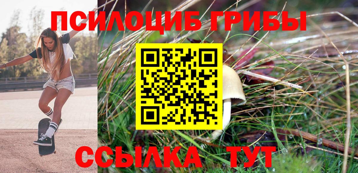 Псилоцибиновые грибы Cubensis  Вход с VPN  Богородск 