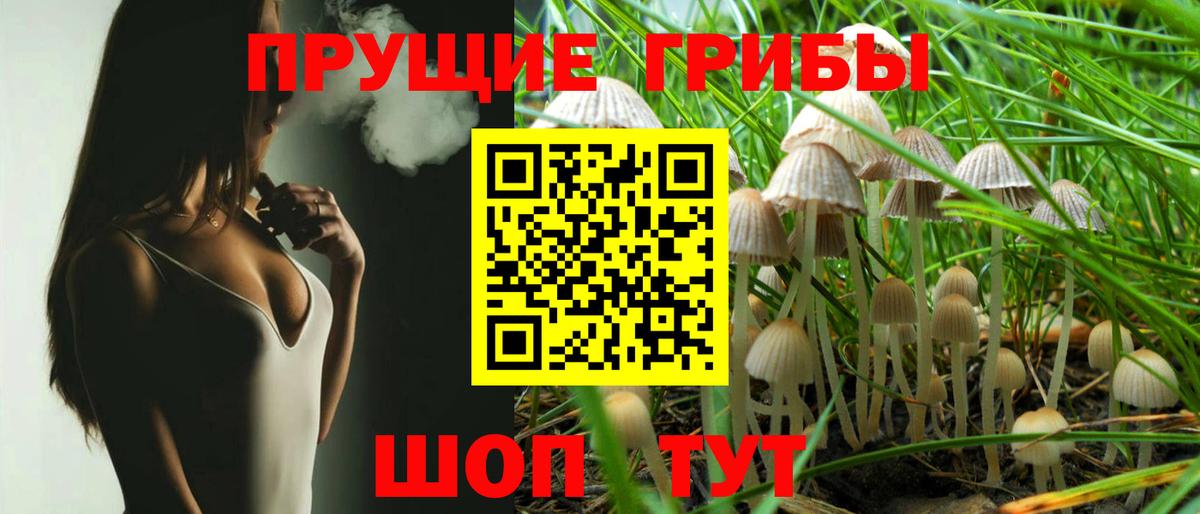 Псилоцибиновые грибы MAGIC MUSHROOMS Богородск